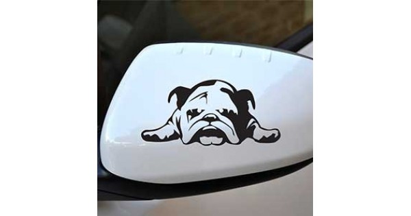 Wing Mirrors