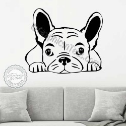 Wall Vinyl Sticker Room Decals Mural Design Art Cute Puppy Poodle Dog  bo091