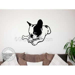 Cute French Bulldog Puppy,  Lying Down, Home  Wall Sticker, Vinyl Mural Decal