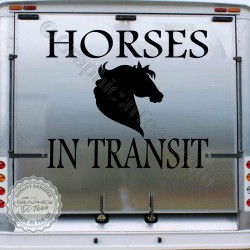 Horse Box Vinyl Graphic Decals Horses in Transit Trailer Van Stickers -02