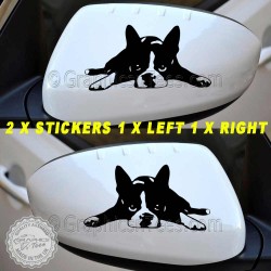 Cute Boston Terrier Puppy, Wing Mirror, Bumper, Car Body Stickers Vinyl Graphic Decal x2