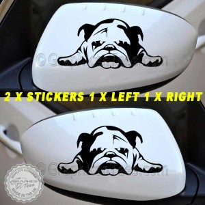 British Bulldog Puppy, English Bulldog Wing Mirror, Bumper, Car Body Stickers